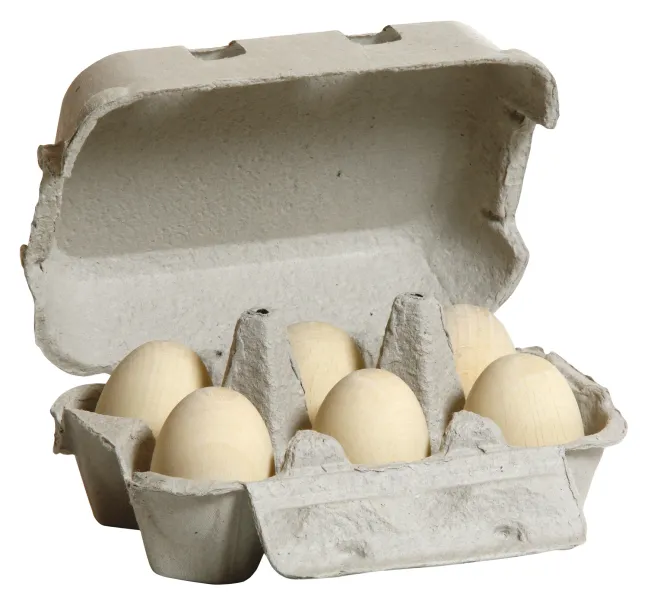 Erzi Kaufladenzubehör Eier, weiß im Karton 17010