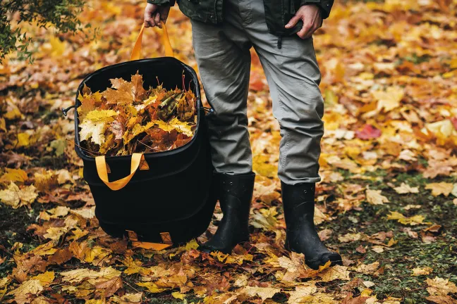 FISKARS PopUp-Gartensack groß mit Griffen 219L