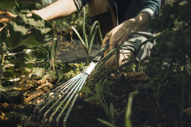 FISKARS Xact™ Hand-Fächerbesen mit 7 Zinken