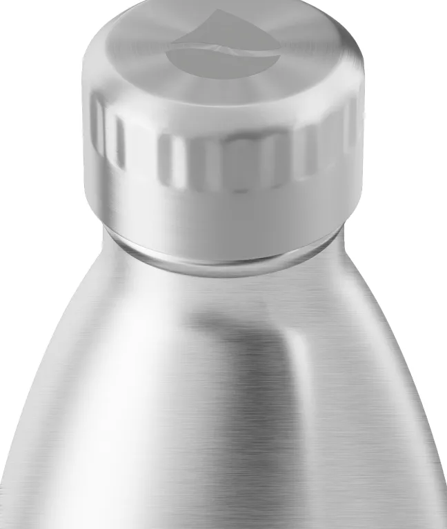 FLSK Isolierflasche 1000 ml silber