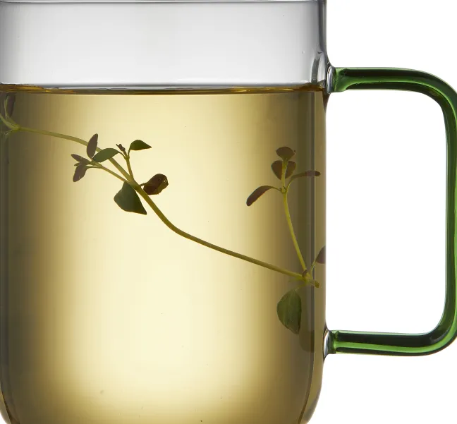 Lyngby Glas Glasbecher Torino 40cl 2 Stück grün Sale