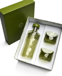 Paveau Swirl Moss Geschenkset Flasche 0,75L + 2 Tumbler Gläser