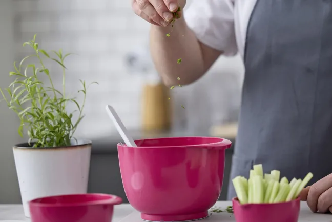 Rosti Margrethe Schüssel Durostima® 0,5L Beetroot