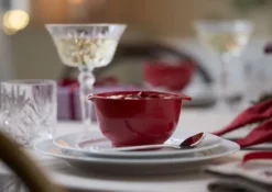 Rosti Margrethe Schüssel Durostima® 0,25L Rot