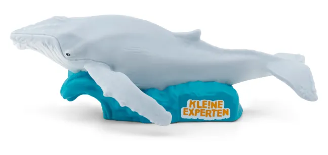 Tonie KLE!NE EXPERTEN tauchen mit Walen