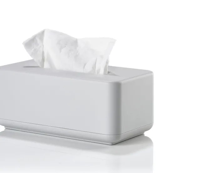 ZONE Denmark Taschentuchbox Ume 25,6 x 14 x 10,7 cm grau